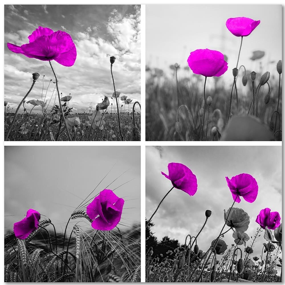 Leinwandbild Purple Poppies