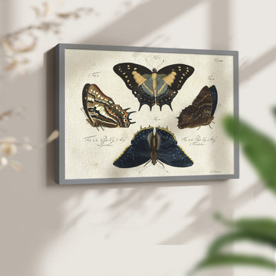 Crackled Butterflies IV -Framed Print - Restickable