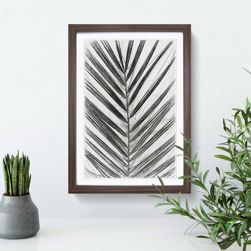 Plat Leaf in Abstract - Picture Frame Graphic Art Print, Walnut, 50cm H x 35cm W x 2cm D