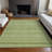 Machine Washable Indoor/Outdoor Claudian ACN1625 Cactus Rug-104236603