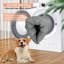 Lit pour chien Tucker Murphy Pet ™ pour grands chiens, canapé-lit pliant multifonctionnel pour animaux-511146105