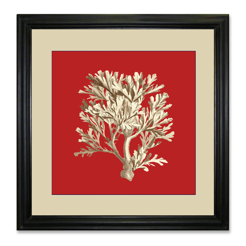Coral On Red IV - Single Picture Frame Print