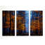 «The Path of Midas», ensemble de 3 reproductions de photos sur toiles-223578434