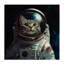 Toile d'astronaute, conception par Jim Baldwin-1834657796