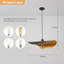 1 - Light Matte Black Novelty Pendant
