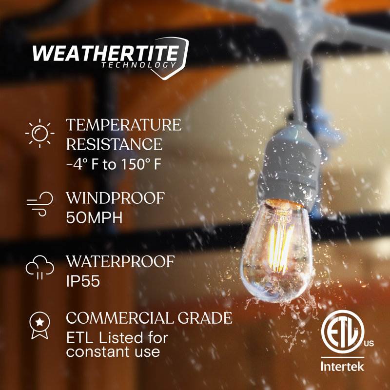 Ambience Pro 48 ft. Plug-In Outdoor Patio LED String Lights with 15 Warm White S14 Edison Bulbs, White Cord, Weatherproof