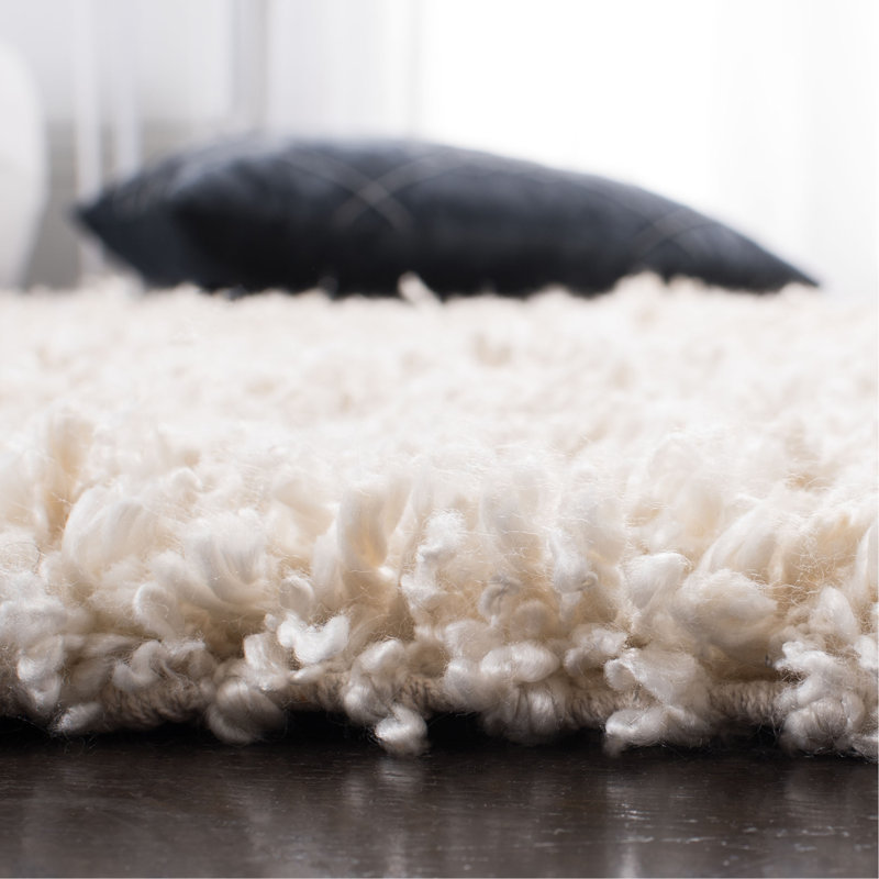 Tapis à poils longs tissé à la main Hucksley, Rectangle 4pi x 6 pi