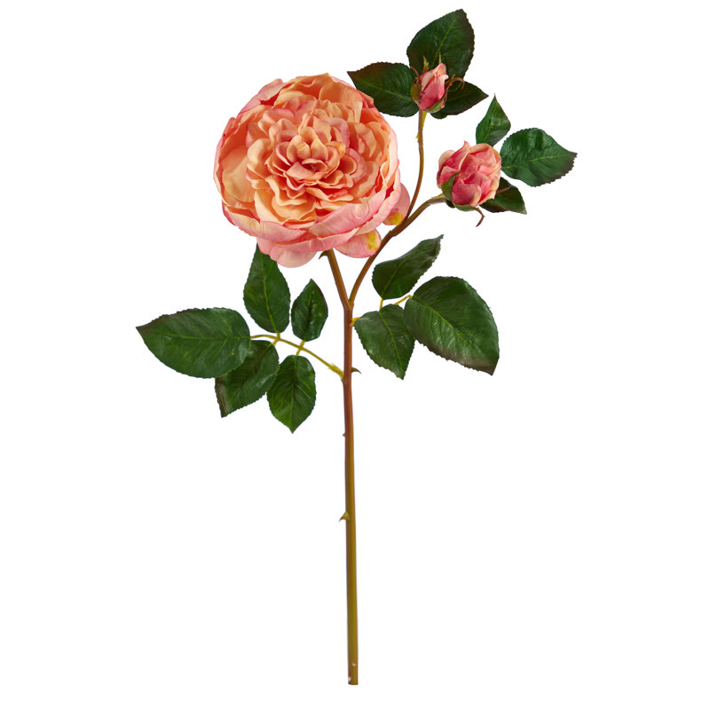 Tige de roses, Mauve/crème