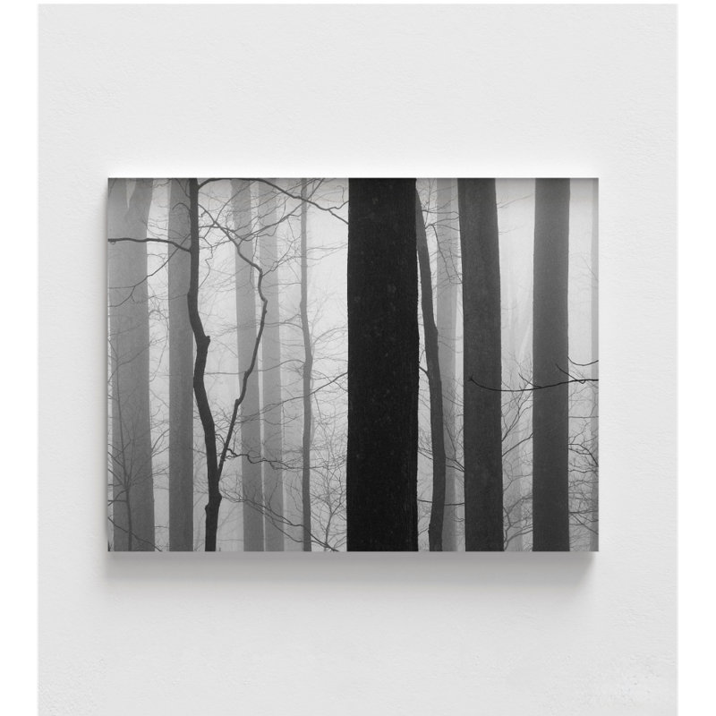 «Forest Code» par Nicholas Bell, art mural escalier, décor de cheminée, impression d'idée de remodelage de sous-sol, art de forêt noir et blanc