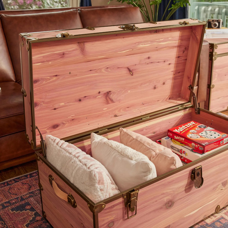 Rhino Knotty Cedar 3X Trunk, Gold, 18" H x 20" L x 40" W