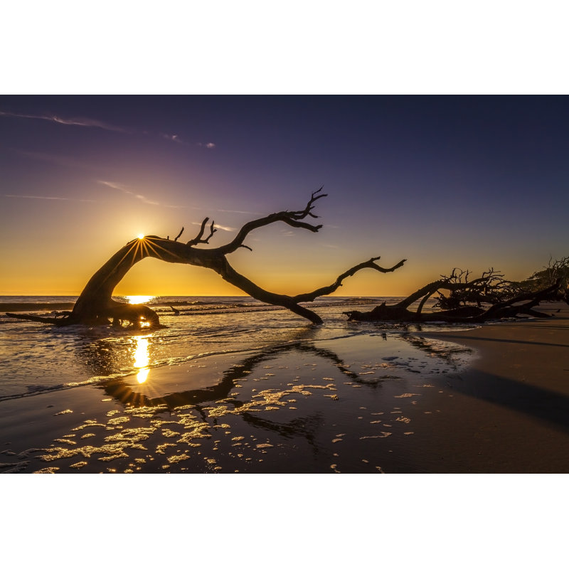 Sunrise Over Driftwood Beach - Photographie sur toile tendue, H 24 po x l 36 po