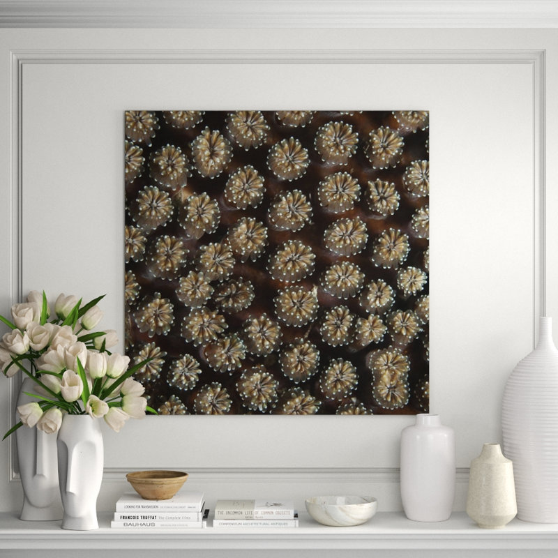 Underwater Beauty II Print by Austin Beiv, Outdoor, 22" H x 22" W x 1.5" D