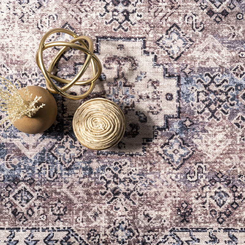Sharyn Traditional Vintage Cotton Area Rug, Rectangle 4' x 6'