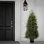 The Holiday Aisle® 5 ft. Pre-Lit Cypress Tree in Nursery Pot