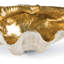 Petit bol Golden Clam
