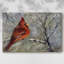 Cardinal dans la neige II sur toile-180437491