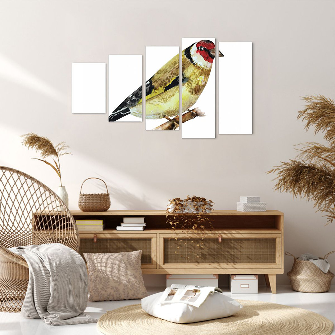 5-tlg. Leinwandbilder-Set Goldfinch Bird