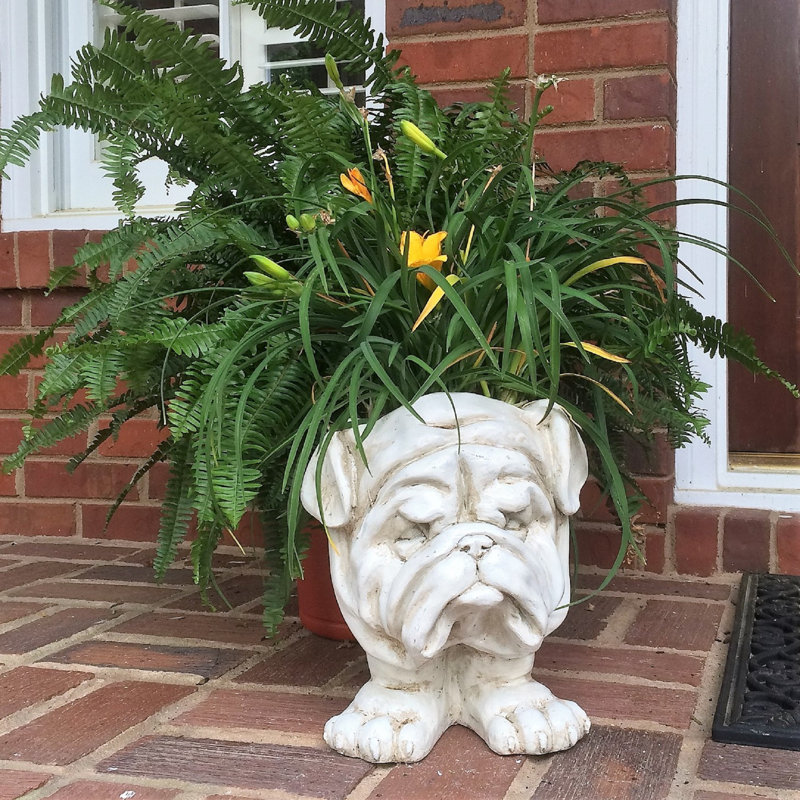 Pot à fleurs Muggly's Bulldog, Blanc antique