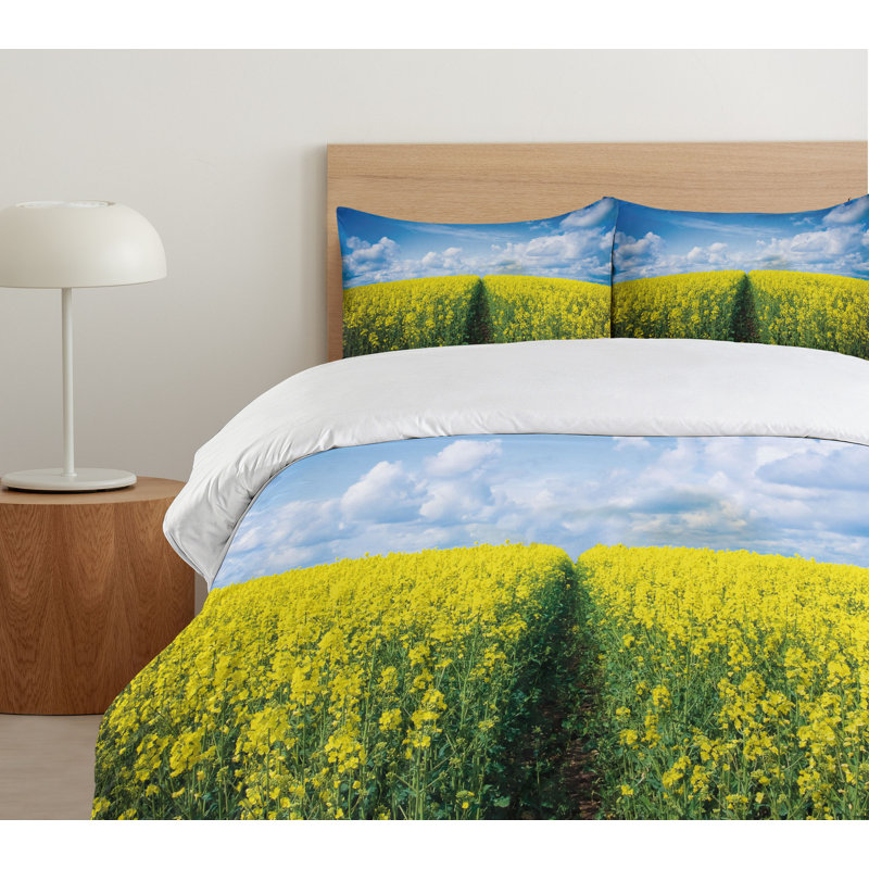 No Duvet Cover, Queen Duvet Cover + 2 Standard Shams