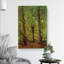 Trees And Undergrowth by Vincent Van Gogh - Wrapped Canvas Painting-61946186