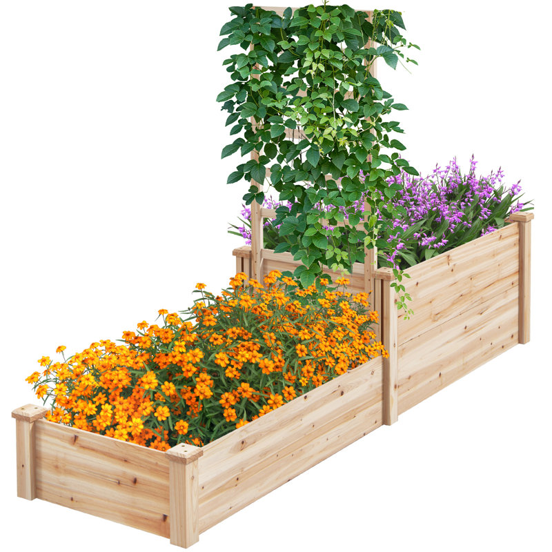 Cloverdale Wood Raised Garden Bed