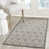 Gray/Beige