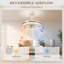 Ceiling Fan with LED Lights