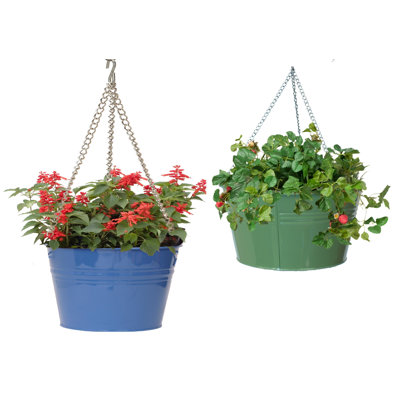 Enameled Galvanized Steel Hanging Planter