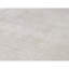 Area Rug in Beige