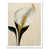 White Framed Paper