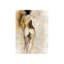 Nude Figure I Print by Emma Brooks-26948178-26948184