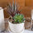 Mixed Assortment Arrangement
