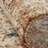 Holsworthy Abstract Indoor Rug-1043553248