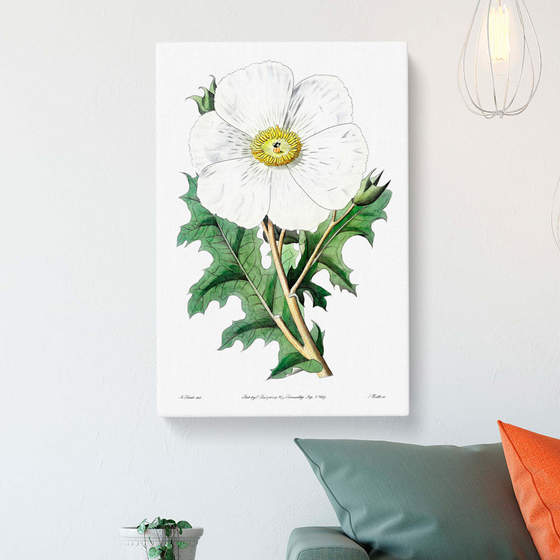 White Mexican Poppy Flower - Wrapped Canvas, 60cm H x 40cm W x 3cm D