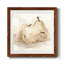 White Pear Study II - reproduction encadrée de qualité supérieure - prête à être accrochée-62719654-62719653