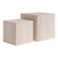 Ensemble de tables basses 2 pièces Rosabel Cambro