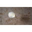 Globe - One Light Suspension