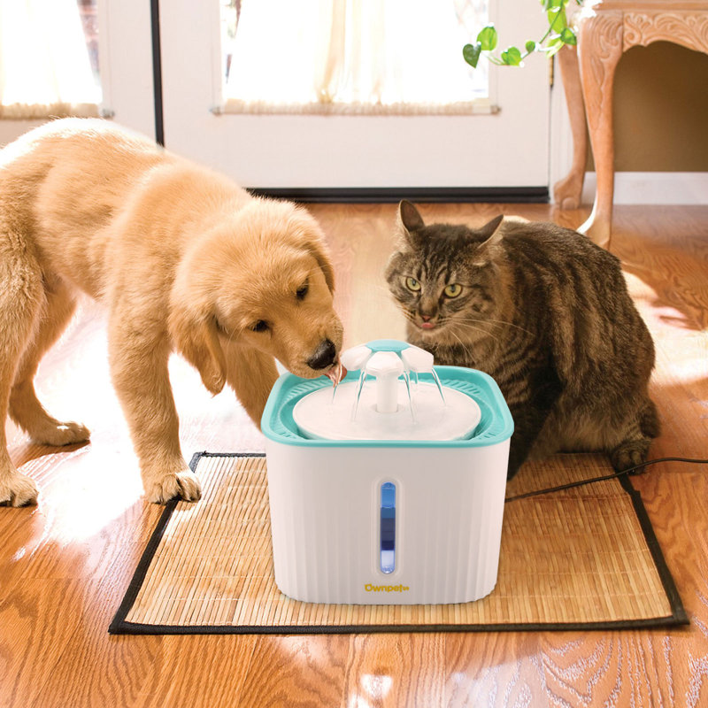 Plat à eau pour chat Ultra Quiet