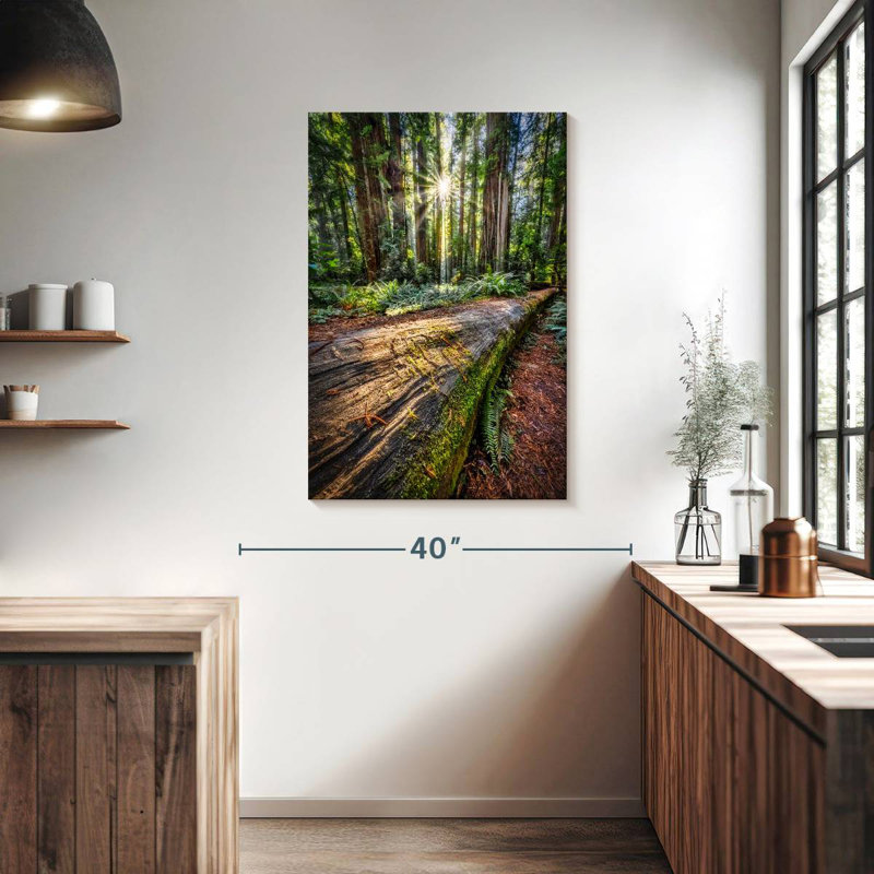 Harnek Sunrise à Jedediah Smith, forêt de séquoia, H 39 po x l 26 po