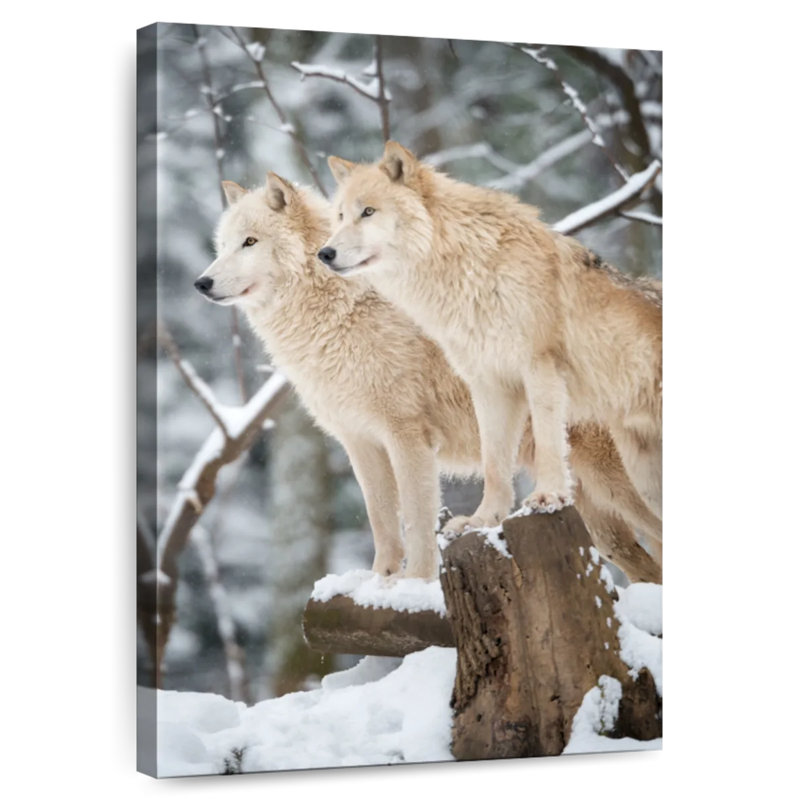 Brampt Two Wolves, 30" H x 20" W