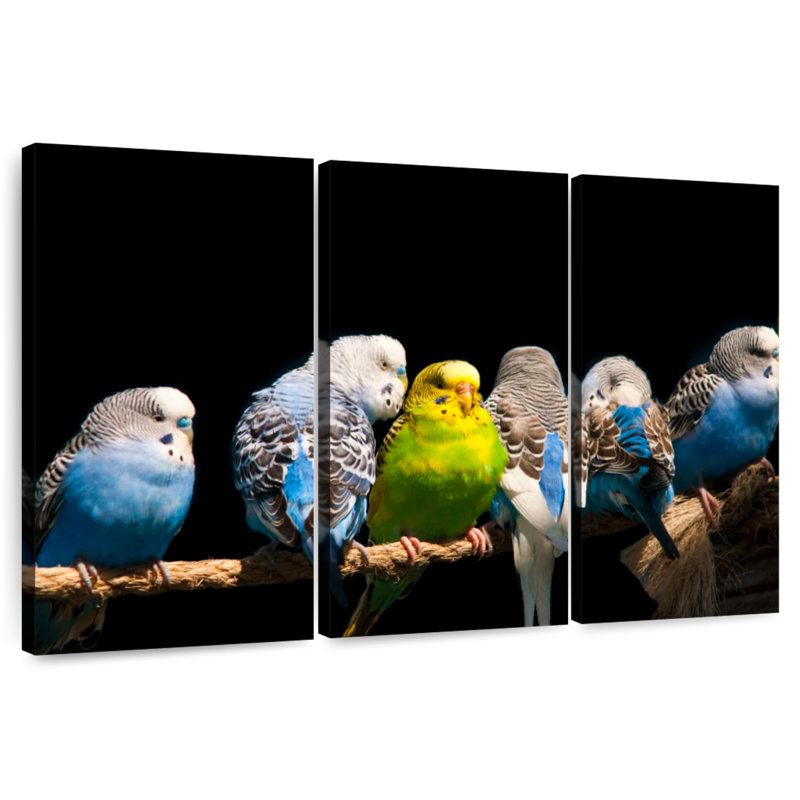 Budgerigars On A Rope, 20" H x 33" W