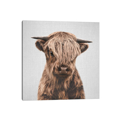 Highland Calf par Gal Design - Toile tendue avec châssis sur toile