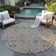 Chayden Indoor/Outdoor Chantille ACN1009 Area Rug
