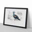 Crowned Pigeon Illustration by Charles D Orbigny - Framed Print-55490502-55490507