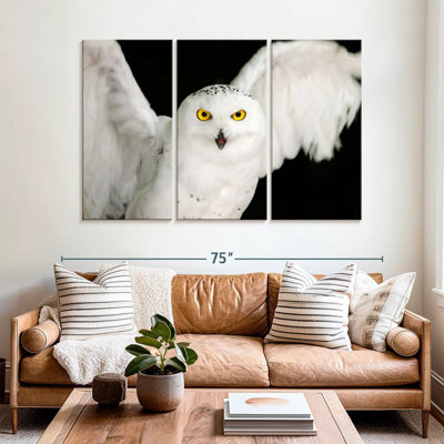 White Owl