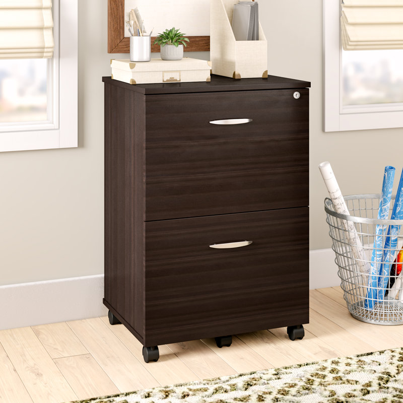 Bayswater 18.69'' Wide 2 -Drawer Mobile File Cabinet