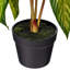Plante artificielle en pot Alocasia longiloba de 22 po x 13 po Primrue.
