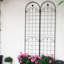 Paquet de 2 treillis de jardin en métal pour plantes grimpantes d'extérieur 86,7 po x 19,7 po antirouille Rose Trellis