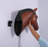 Horse Head Statue-794917889