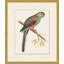 Tropical Parrot 5 Painting